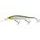 Westin Wobler Jerkbite MR Jerkbait Headlight