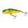 Salmo Wobler Perch Shallow Runner 12cm