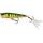 Westin Wobler Spot-on Popper 6,5cm 7g