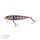Zeck Wobler Dundee 13,5 cm / 1m SP