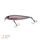Zeck Wobler Dundee 13,5cm / 2,5m SP