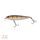 Zeck Wobler Dundee 13,5cm / 2,5m SP