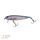 Zeck Wobler Dundee 13,5 cm / 1m SP