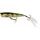 Westin Wobler Spot-on Popper 6,5cm 7g