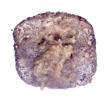 LK Baits Pet Maškrta Nutrigel Dog Hovädzie s kĺbovou výživou a spirulinou