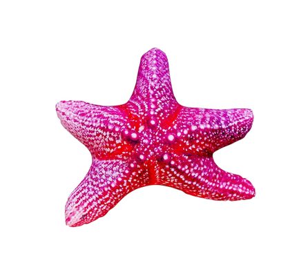 Gaby Polštář Hvězdice 55cm