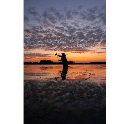 Shimano Prút Tribal TX-7A Carp 3,66m 3,5lb