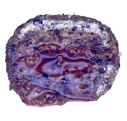 LK Baits Pet Maškrta Nutrigel Dog Hovädzie s kĺbovou výživou a spirulinou