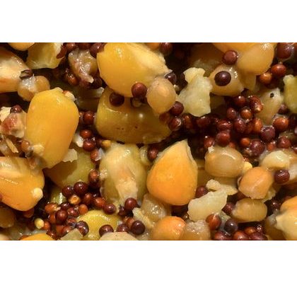 Chyť a pusť Varená Kukurica 1kg