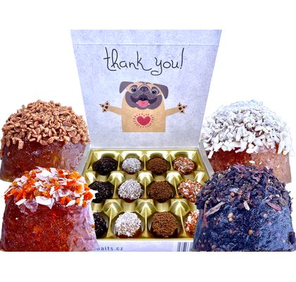 LK Baits Pet Doplněk stravy Nutrigo Dog Supplement Worm Ex