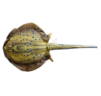 Gaby Polštář Trnucha 85 cm