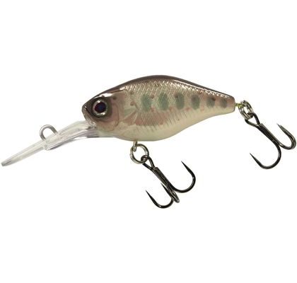 Illex Wobler Diving Chubby Truitelle