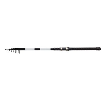 DAM Prut Base-X Tele Stellfisch 19'8''/6.00m M 50-100g