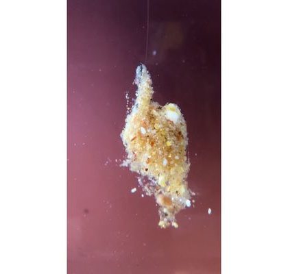 Šon Chung Šonův Sopel Ready to Go 500ml