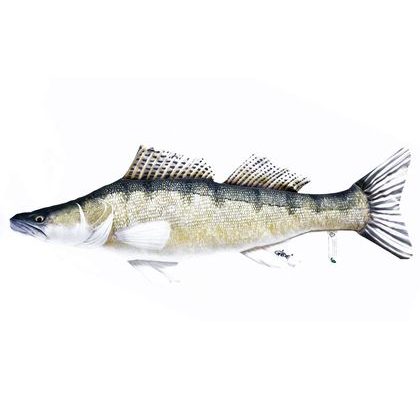 Gaby Polštář Candát obecný 75 cm