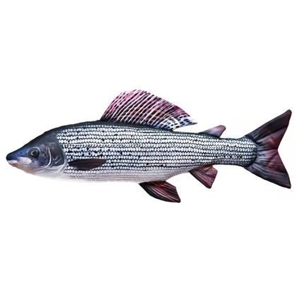 Gaby Polštář Lipan 65 cm