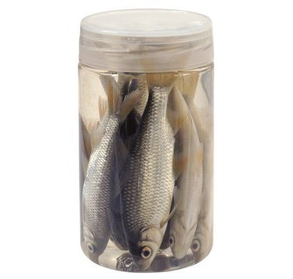 Chyť a pusť Nástražní rybičky v nálevu Plotice 10-12cm 8ks