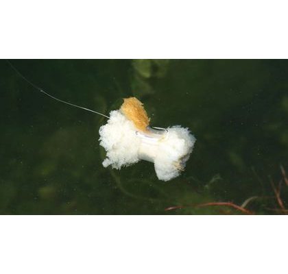 Zfish Vrtáček s Kroužkem Bait Screw & Oval Ring 10ks