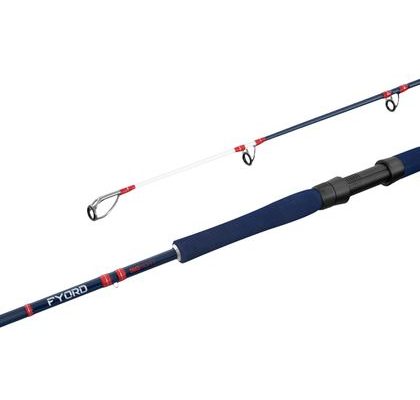 Delphin Prút Fyord BigBoat 220cm 300-400g