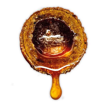 LK Baits Nutrigo Extra Plankton