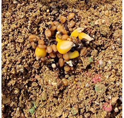 Chyť a pusť Varená Kukurica 1kg