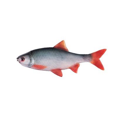 Fox Rage Gumová nástraha Bulk Loaded Slick Shad UV Aksansas Shiner