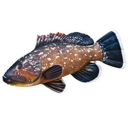 Gaby Polštář Kanic vroubený 100cm