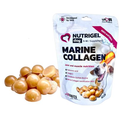 LK Baits Pet Kolagen Nutrigel Dog Marine Collagen