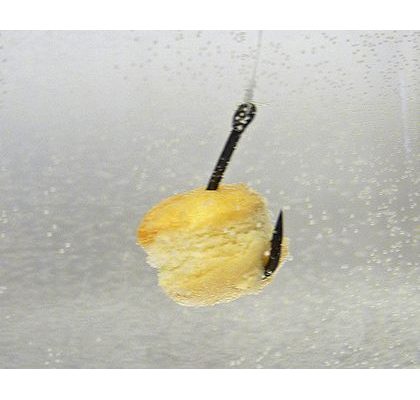 Chyť a pusť Rožkové boilies 12mm 150ml