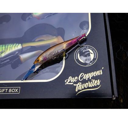 Westin Gumová nástraha Crazy Daisy Jig Headlight