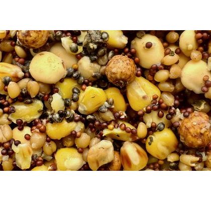 Mivardi Krmítková zmes V1 Carp 2850g