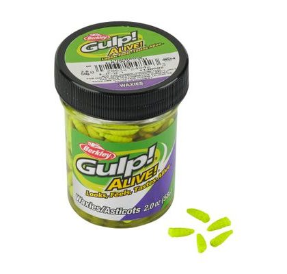 Berkley Červi Gulp! Alive! Waxies