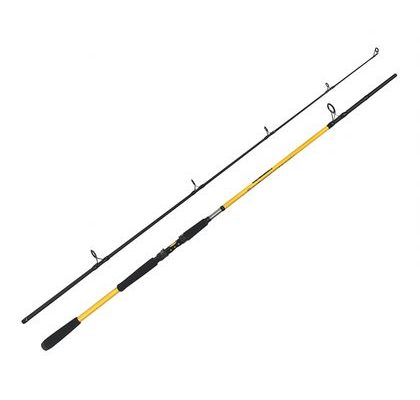 Zfish Prut Kodiak 2,40m 100-250g