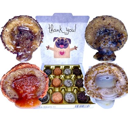 LK Baits Pet Maškrta Nutrigel Dog Hovädzie s kĺbovou výživou a spirulinou