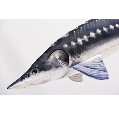 Gaby Polštář Jeseter 120cm