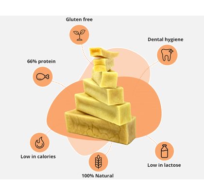 LK Baits Pet Doplněk stravy Nutrigo Dog Supplement Worm Ex