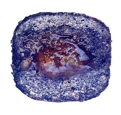 LK Baits Pet Maškrta Nutrigel Dog Hovädzie s kĺbovou výživou a spirulinou