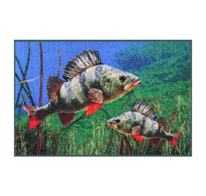 Delphin Rohožka 3D Okouni