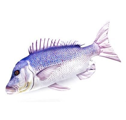 Gaby Polštář Zubatec obecný mini 43 cm