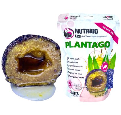 LK Baits Pet Doplněk stravy Nutrigo Dog Supplement Plantago Sirup