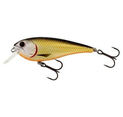 Westin Wobler RawBite Floating Official Roach