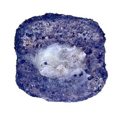 LK Baits Pet Maškrta Nutrigel Dog Hovädzie s kĺbovou výživou a spirulinou