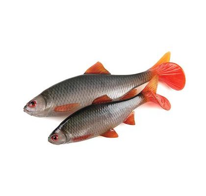 Fox Tričko Orange Indicator T