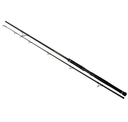 Black Cat Prút Black Passion Spin 2,7m 50-200g