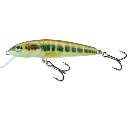 Salmo Wobler Minnow Sinking 7cm
