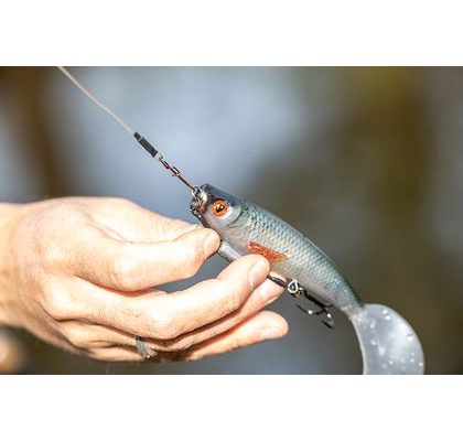 Fox Rage Gumová nástraha Bulk Loaded Slick Shad UV Aksansas Shiner