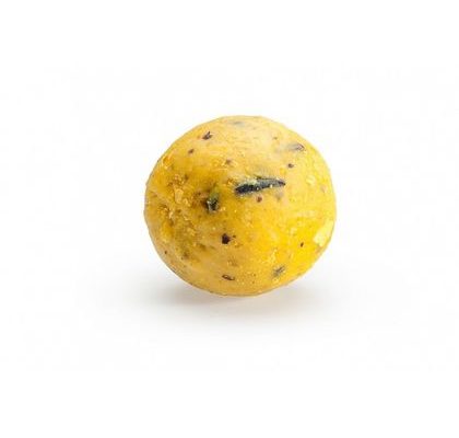 Mivardi Boilies Rapid Easy Catch Sépia