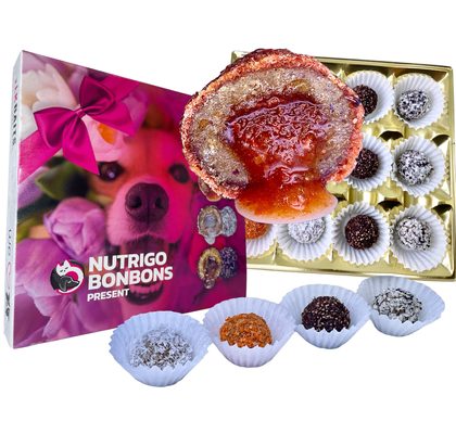 LK Baits Pet Sváteční bonboniéra Nutrigo Bonbons Present Small pro menší psy