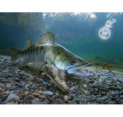 Delphin Fluo dip D Snax LiquiX 100ml