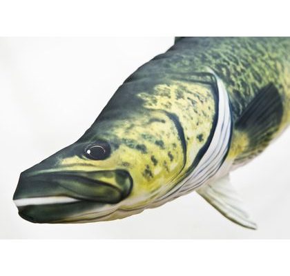 Gaby Polštář Král Síh 52 cm